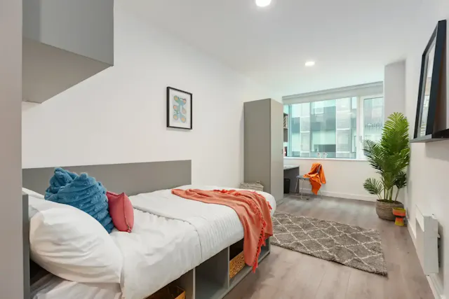 Classic Studio Plus room image 1