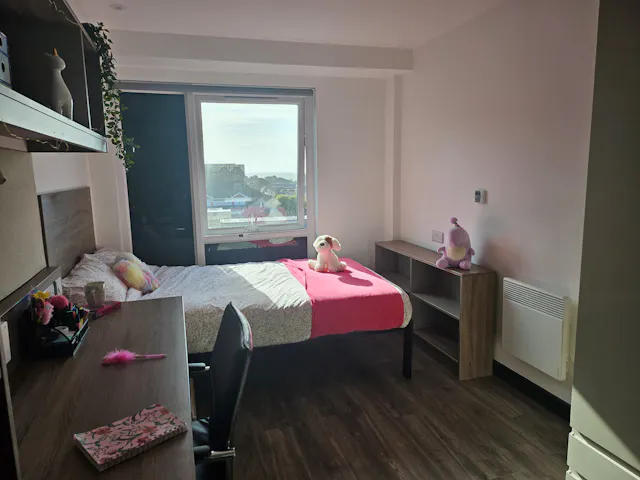 Classic Ensuite Plus room image 1