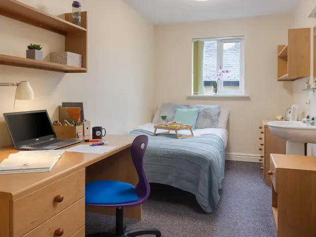 Classic Plus room image 2