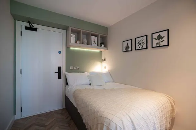 Classic Shared room image 1