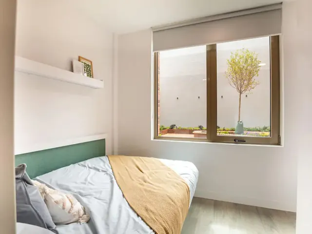 Classic Studio room image 1