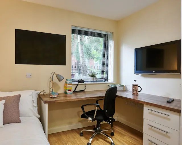 Platinum Studio room image 2