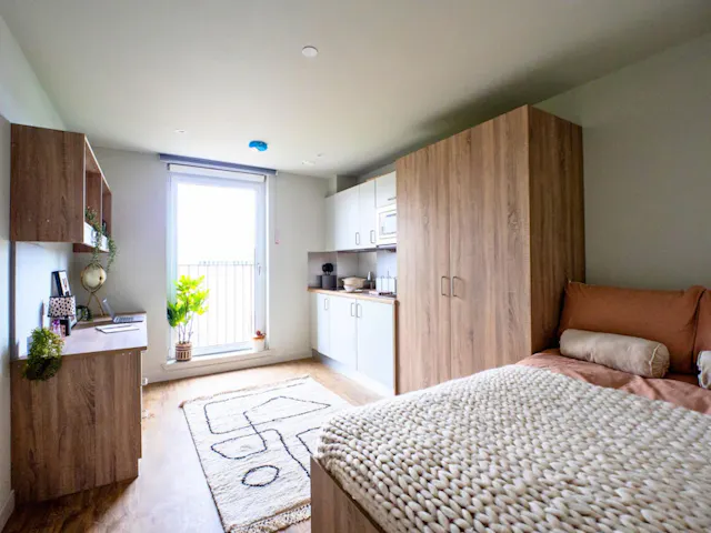Platinum Studio room image 1