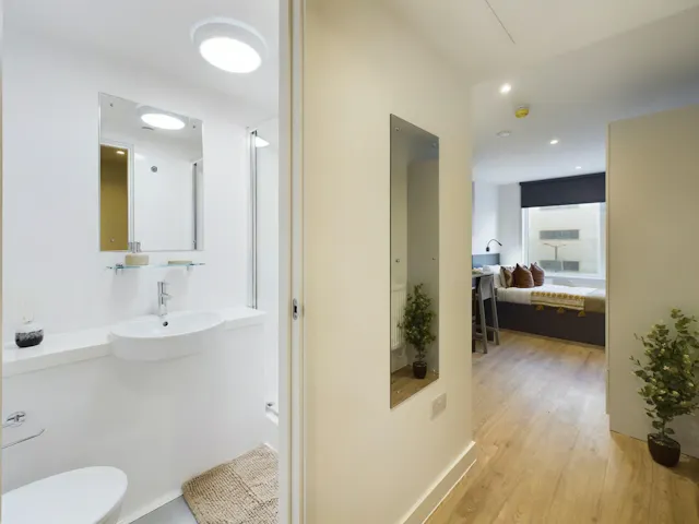 Classic Studio Plus room image 4