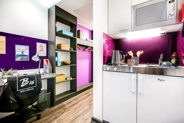 Platinum Studio room image 2