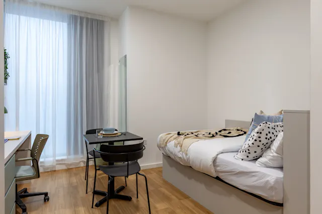 Classic Studio room image 1