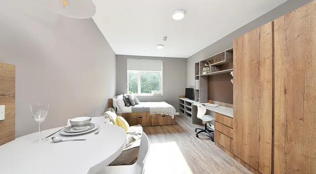 Classic Studio room image 2
