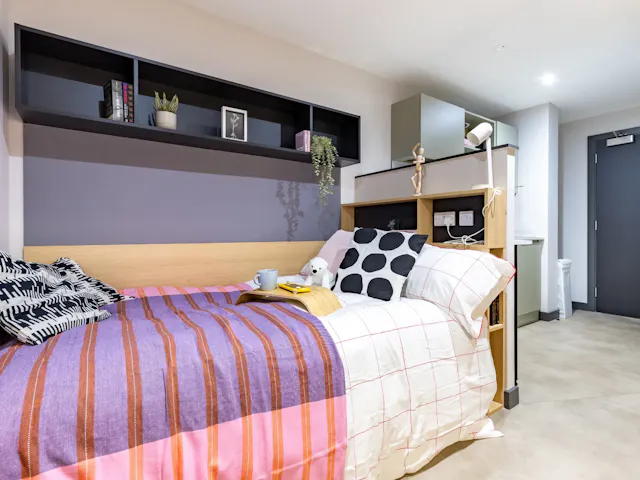 Premium Studio room image 1