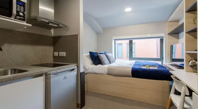 Platinum Studio room image 1