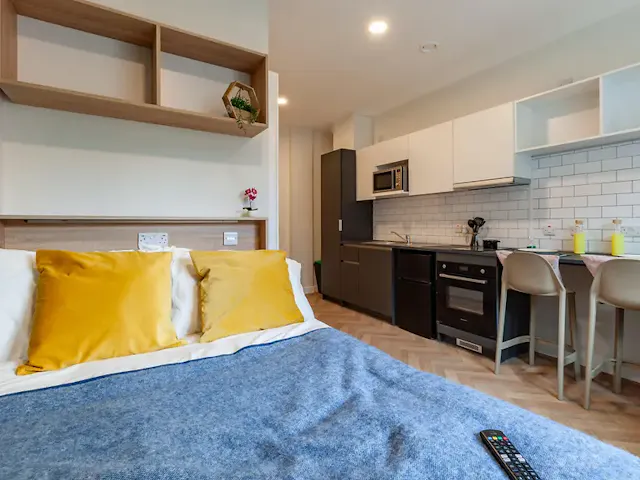 Classic Studio Plus room image 1