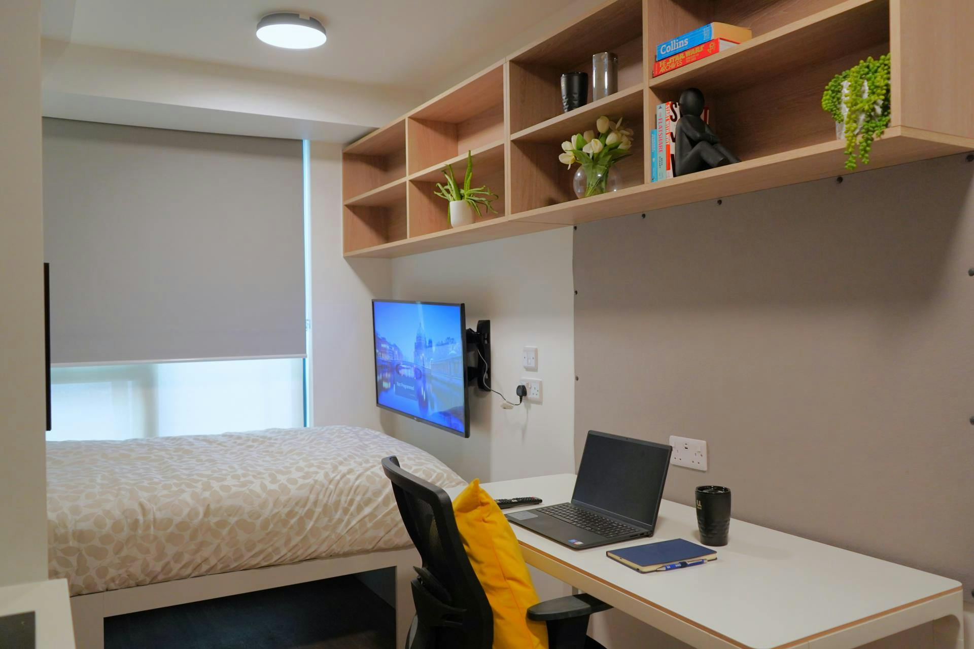 castle-way-southampton-Classic Studio