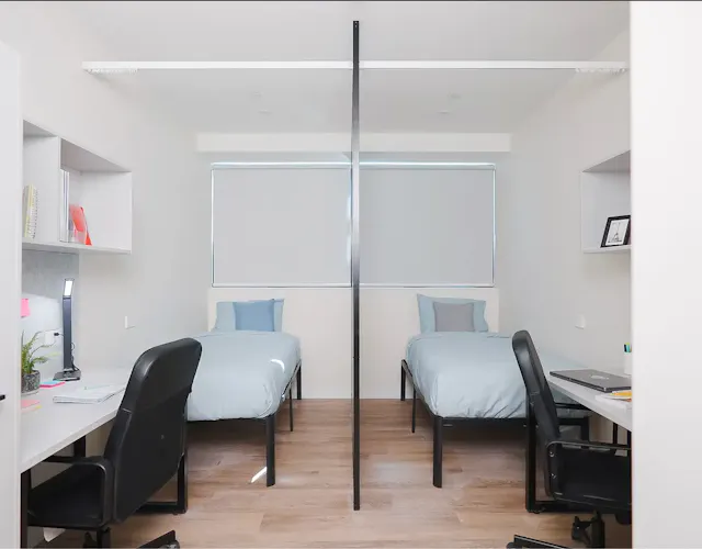 Cluster Ensuite Twin Share Bronze room image 1