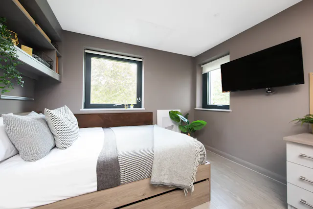 Compact Studio room image 1