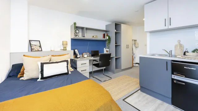Bronze Studio Plus room image 1