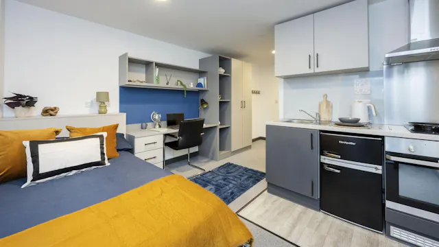 Bronze Studio Plus room image 1