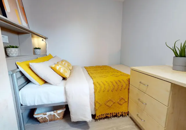 Copper En Suite (Accessible) room image 1