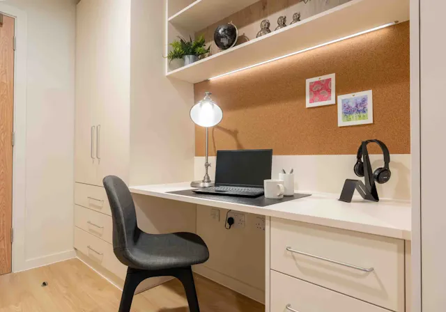 Bronze Studio Plus room image 8