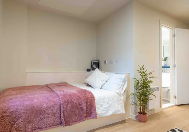 Bronze Studio Plus room image 2
