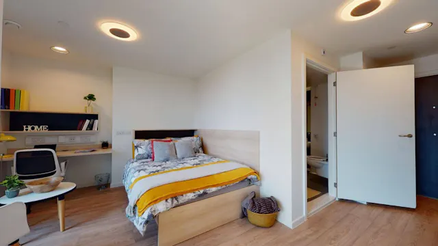 DDA Large Single Studio room image 2