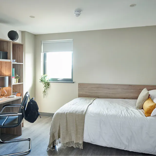 Deluxe room image 1