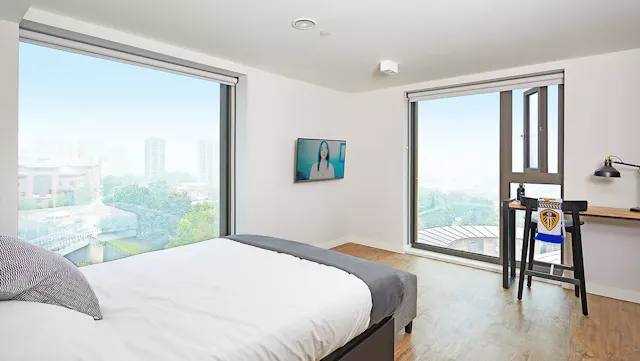 Deluxe room image 1