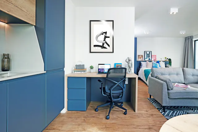 Deluxe room image 2