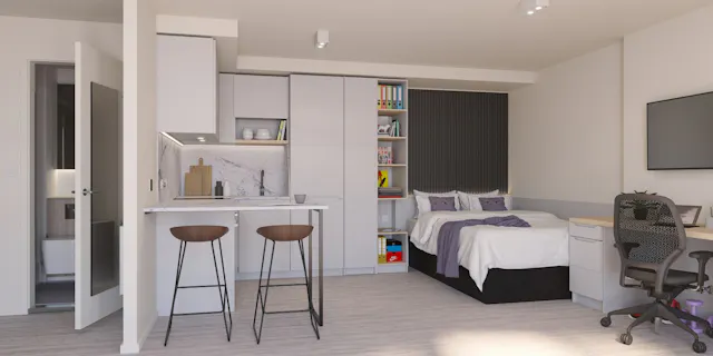 Deluxe room image 1