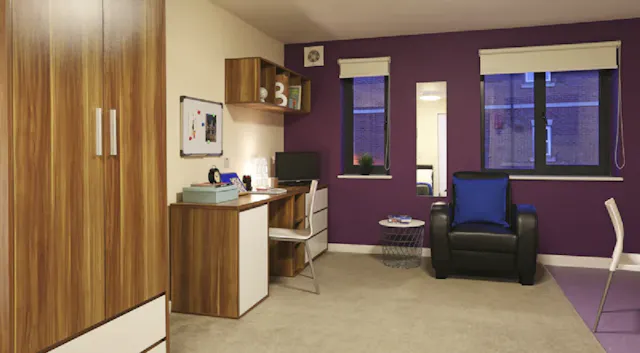 Deluxe Studio – Behn Hall room image 2