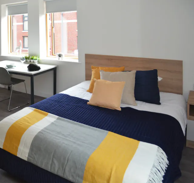 Deluxe Twin Apartment room image 1
