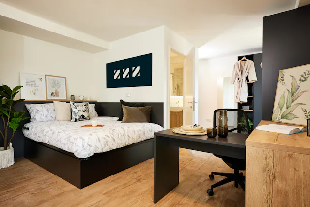 Deluxe room image 1