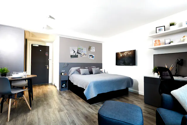 Deluxe room image 1