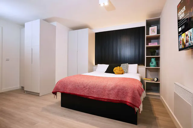 Deluxe room image 2
