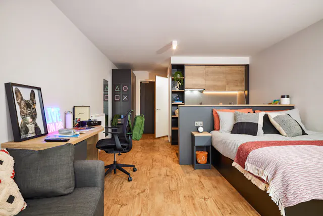 Deluxe room image 1