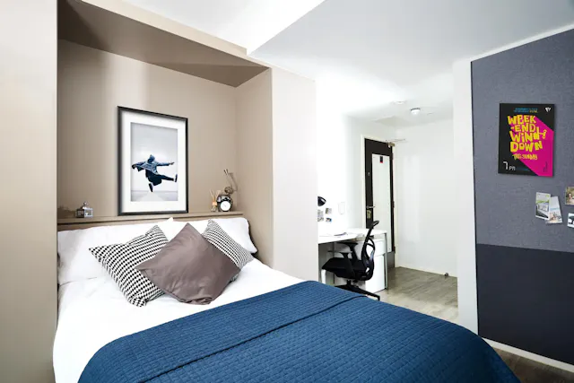 Deluxe room image 2