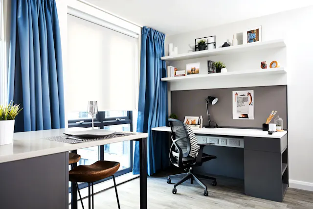 Deluxe room image 1