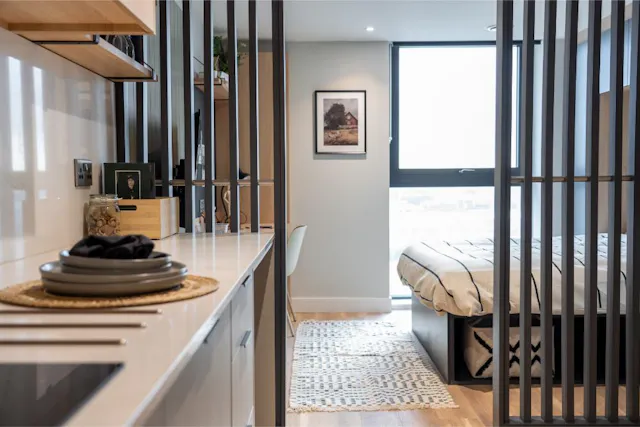 Deluxe Studio, Penthouse room image 2