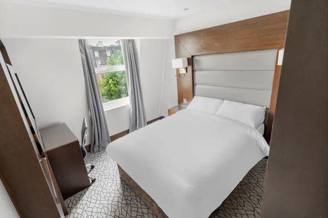 Single Deluxe Room room image 1
