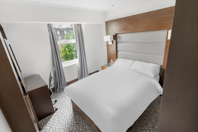 Single Deluxe Room room image 1