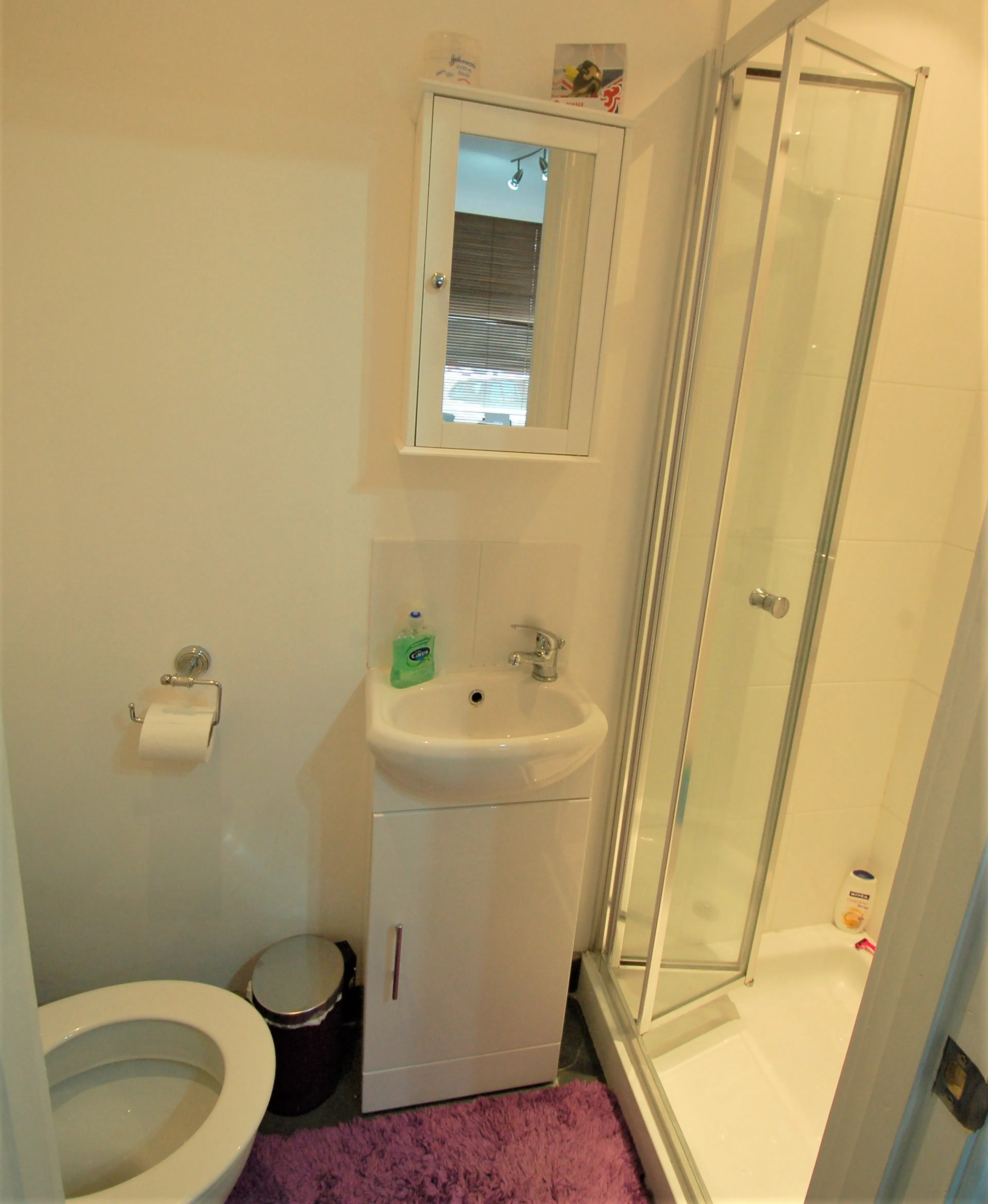7 Bedroom Apartment BATHROOM 3