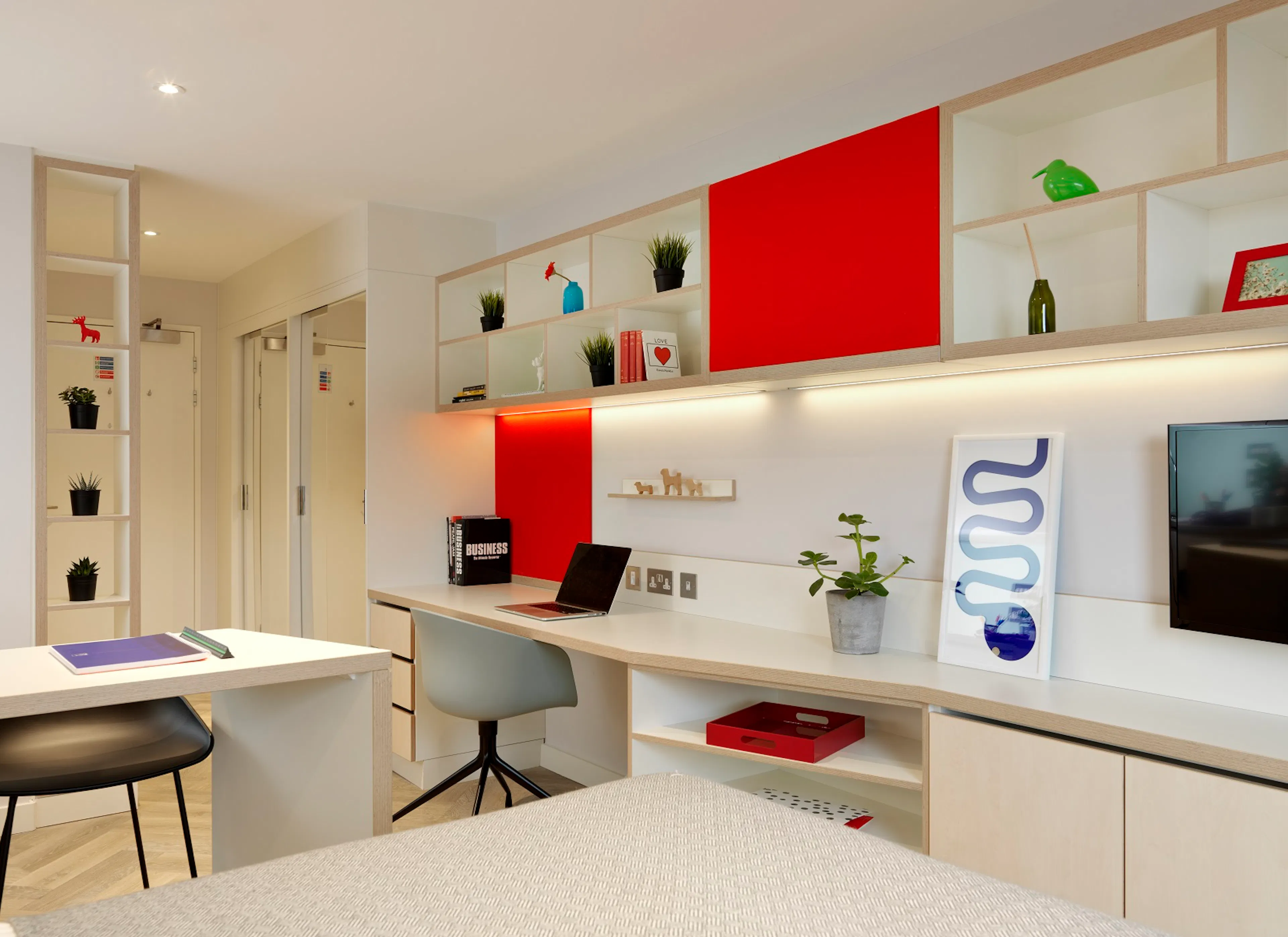 Darwin Studio ROOM 1