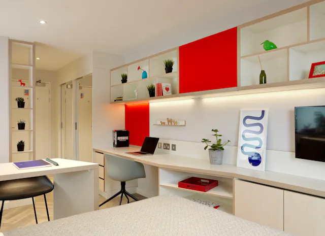 Darwin Studio room image 2