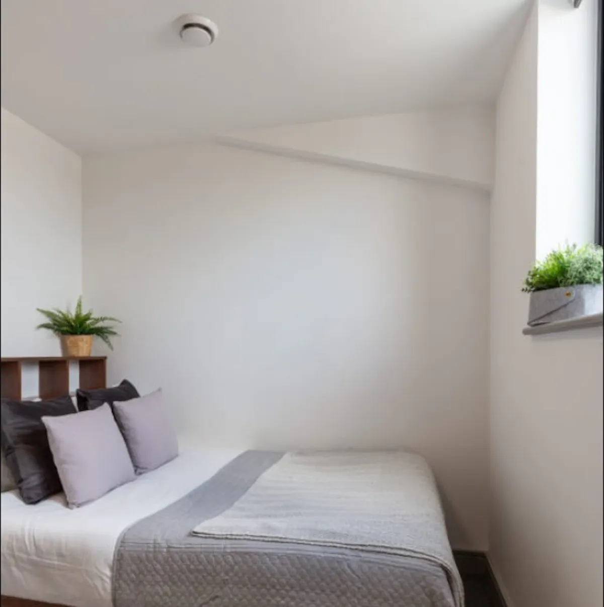 Silver Ensuite ROOM