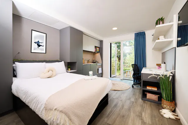 Deluxe room image 2