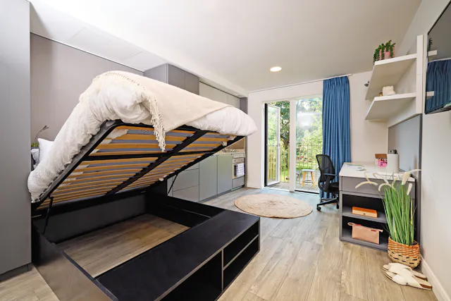 Deluxe room image 2