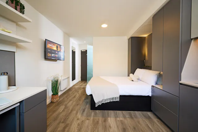 Deluxe room image 4