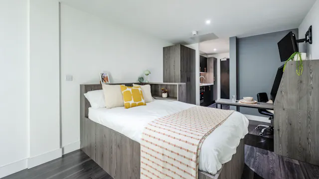 Deluxe Studio room image 2