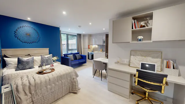 Deluxe Accessible Studio room image 1