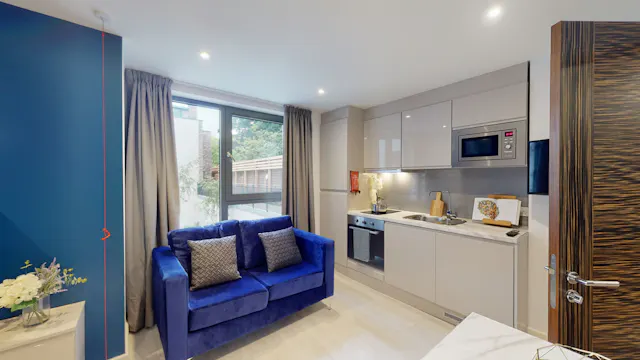 Deluxe Accessible Studio room image 3