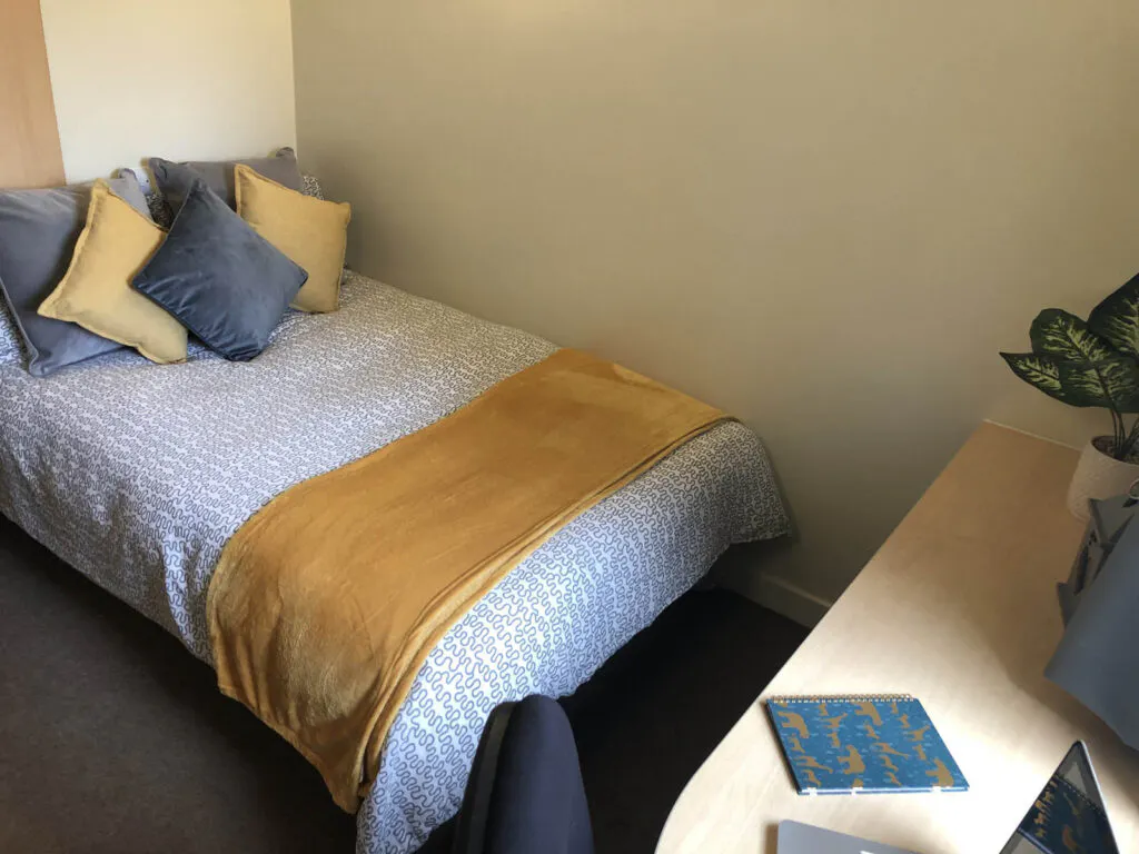 Deluxe En-Suite- UK Guarantor not required.