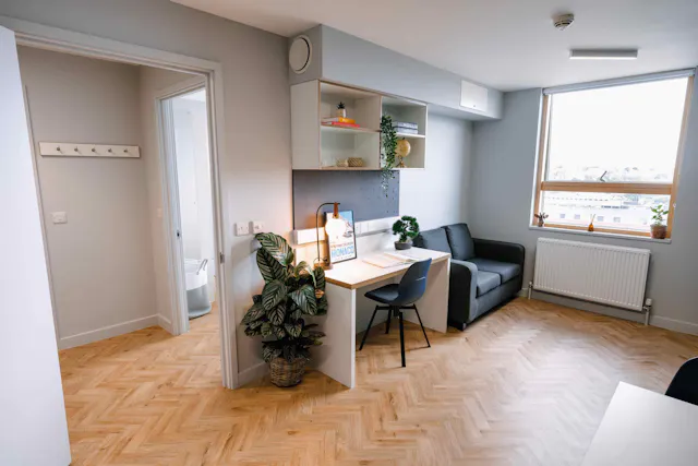 Deluxe Penthouse room image 1
